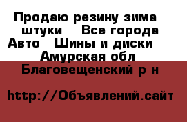 Продаю резину зима 2 штуки  - Все города Авто » Шины и диски   . Амурская обл.,Благовещенский р-н